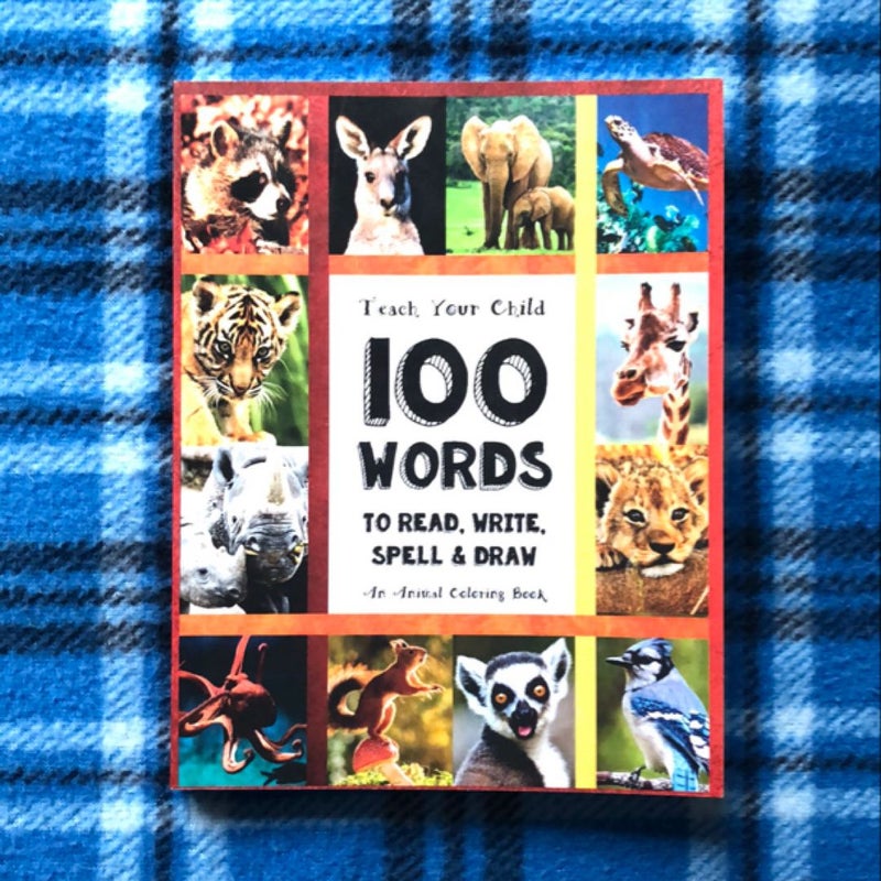 100 Words To Read, Write, Spell and Draw