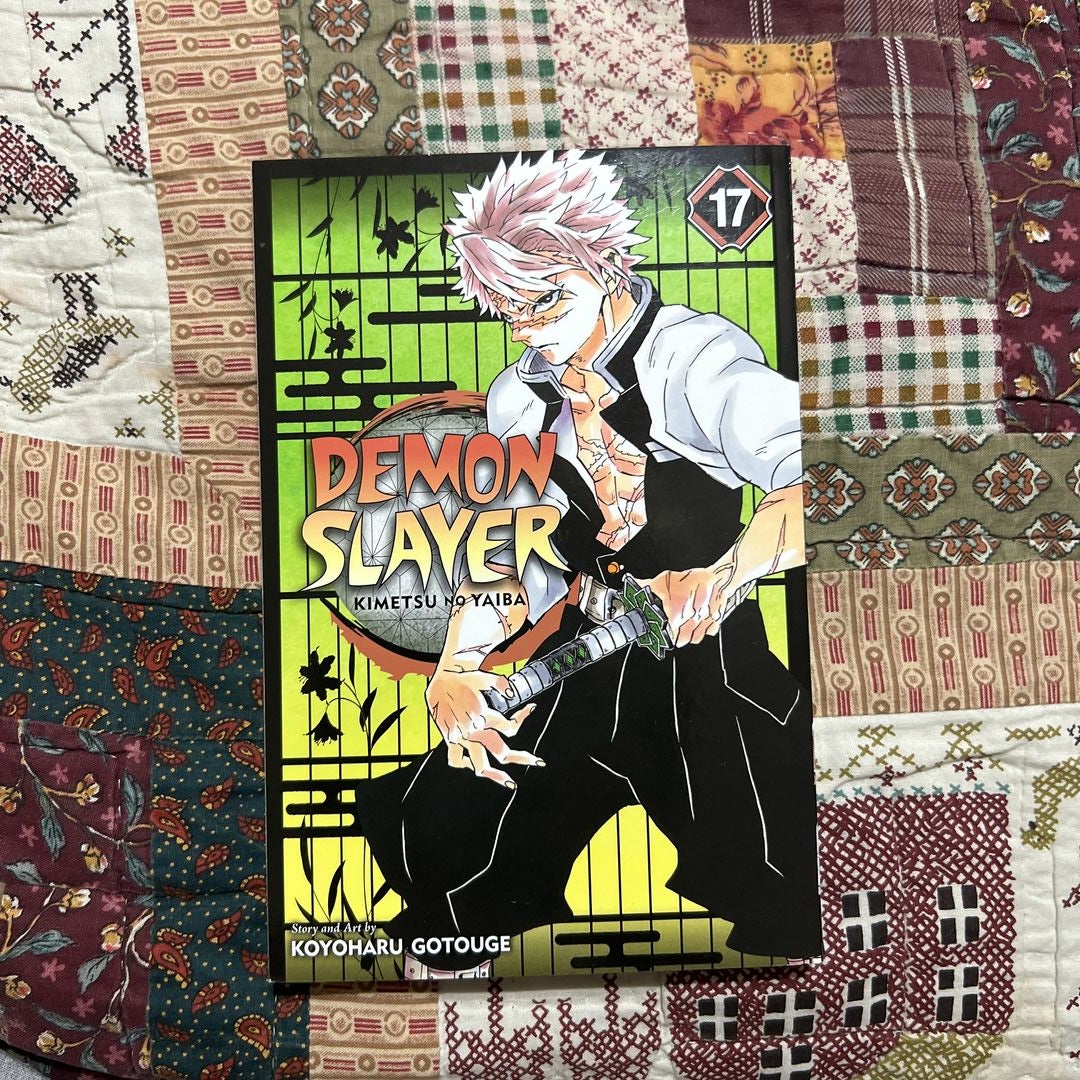 Demon Slayer: Kimetsu No Yaiba, Vol. 17