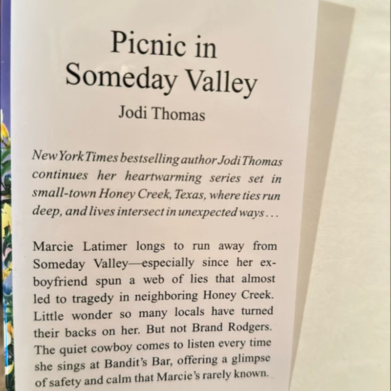 Picnic in Someday Valley 