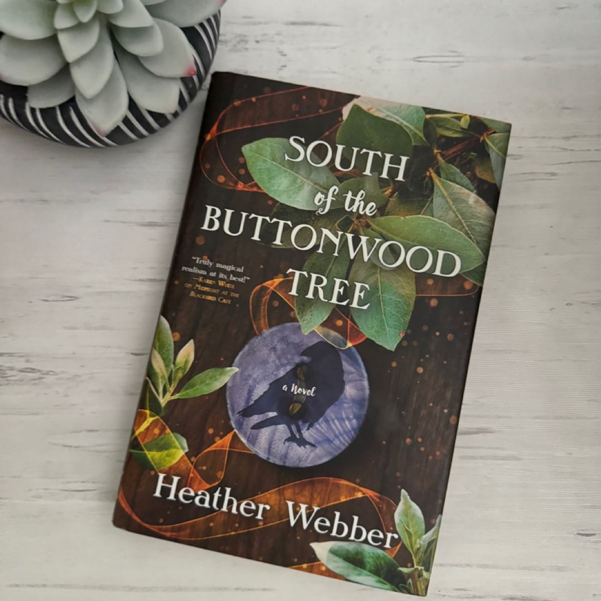 South of the Buttonwood Tree by Heather Webber, Hardcover | Pangobooks