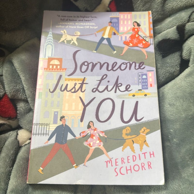 Someone Just Like You