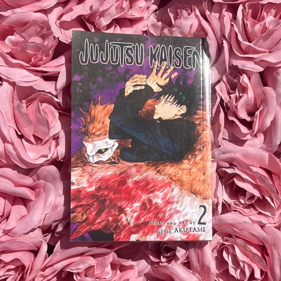 Jujutsu Kaisen, Vol. 2