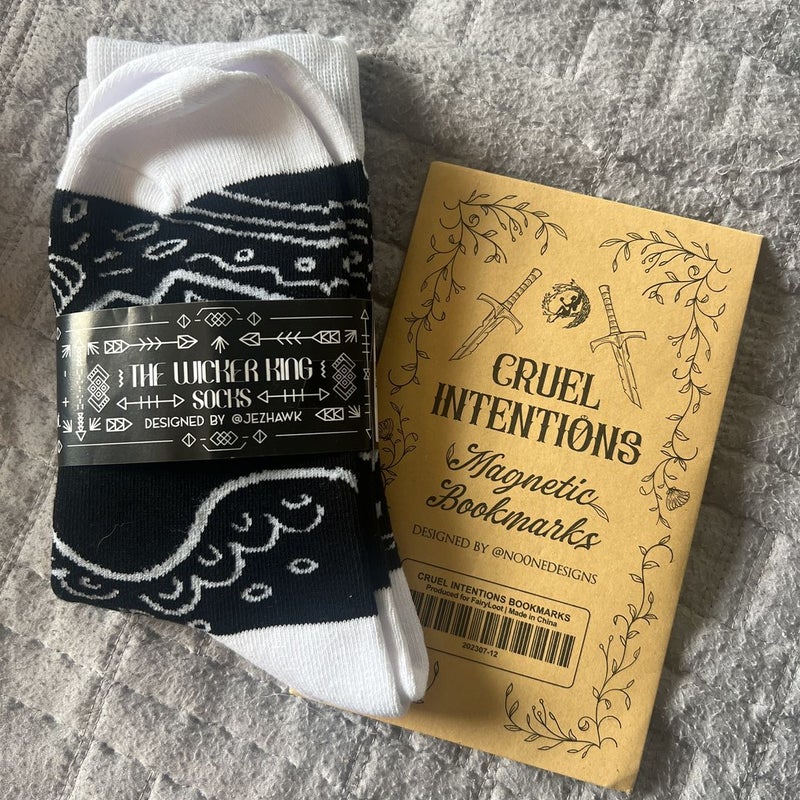 Fairyloot socks and bookmarks bundle 