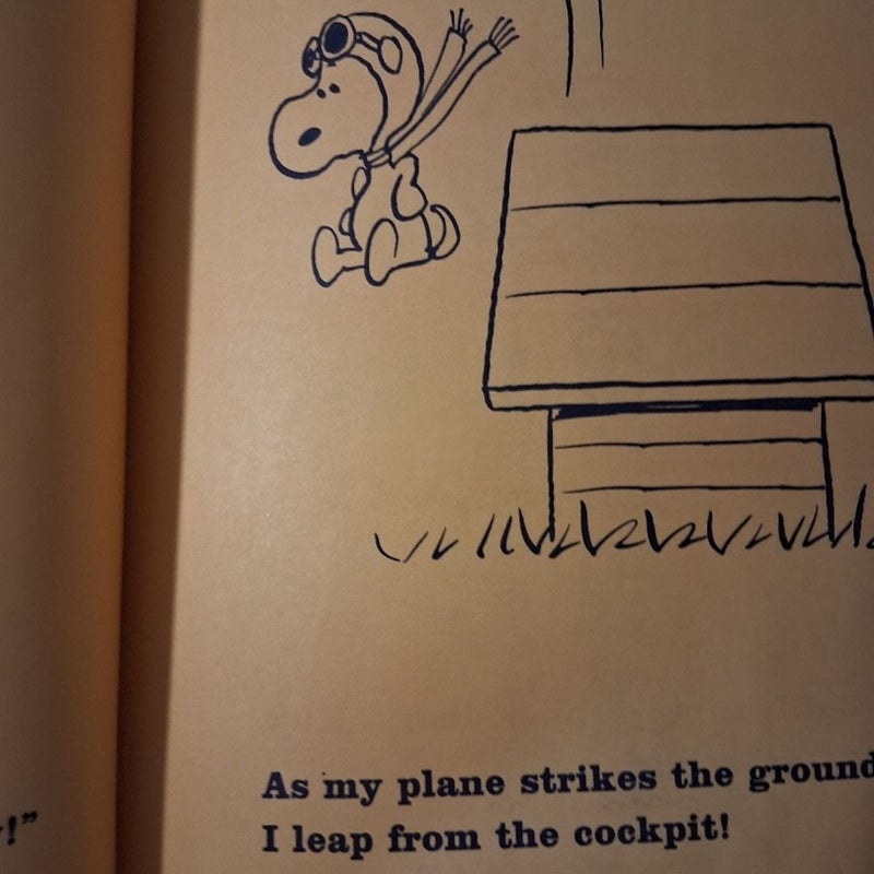 Snoopy and the Red Baron