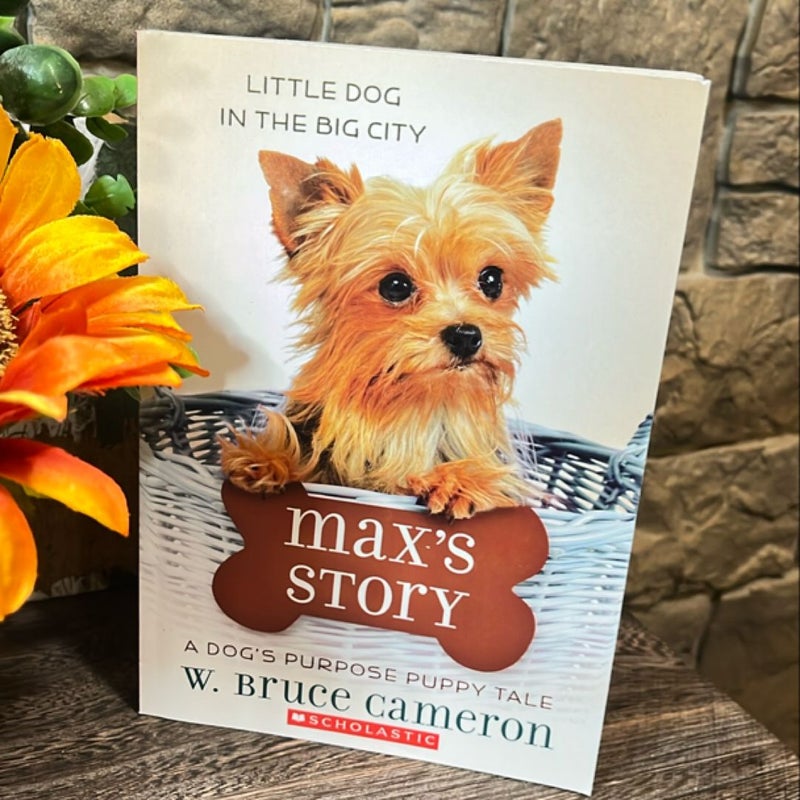 Max's Story