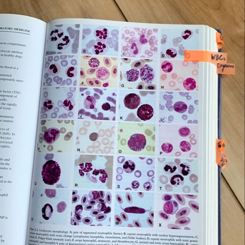 Duncan and Prasse's Veterinary Laboratory Medicine