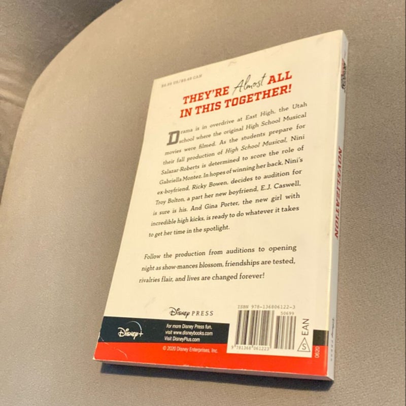 HSMTMTS: Novelization, Season 1