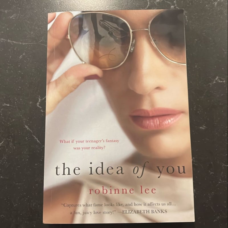 The Idea of You