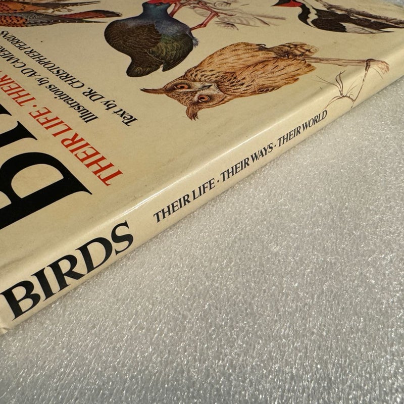 Birds: Their Way, Their Life, Their World