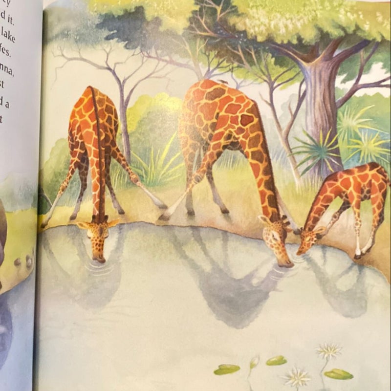 Giraffe Trouble