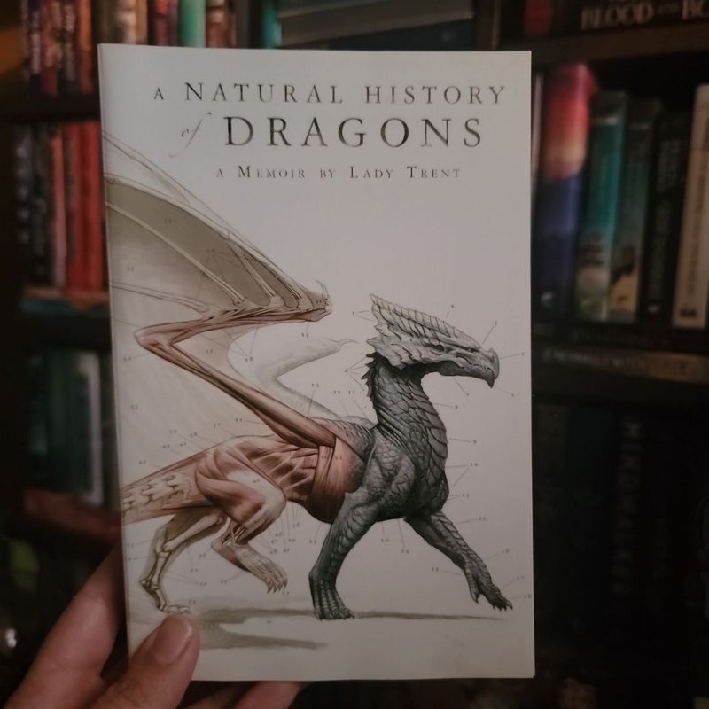 A Natural History of Dragons