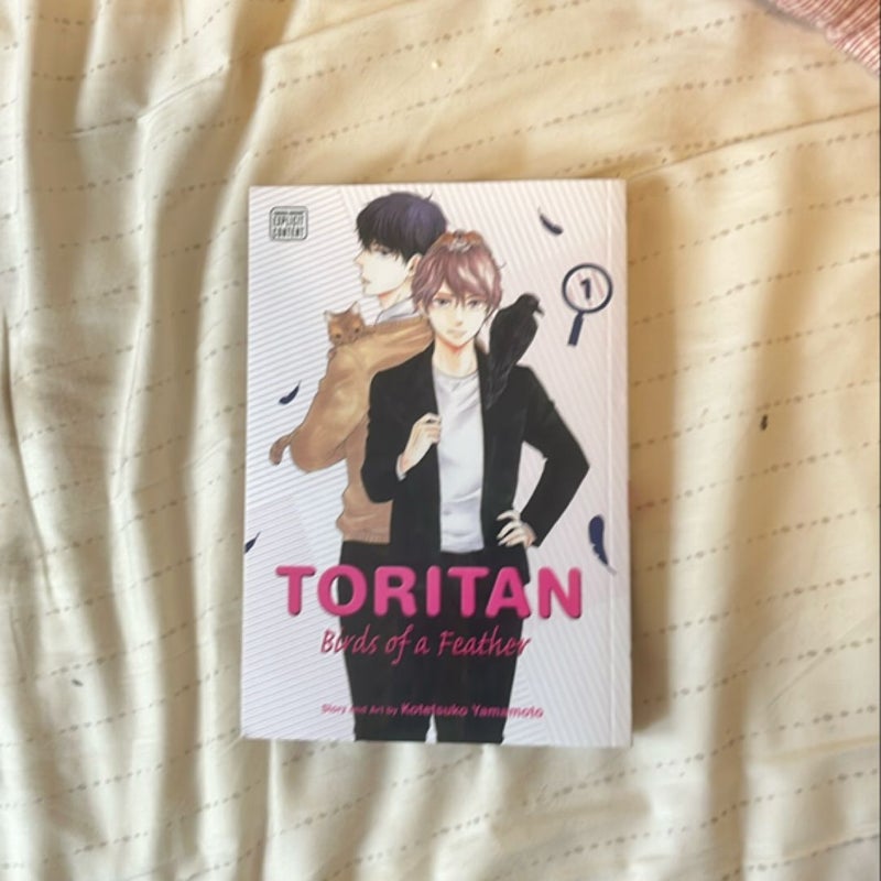 Toritan: Birds of a Feather, Vol. 1