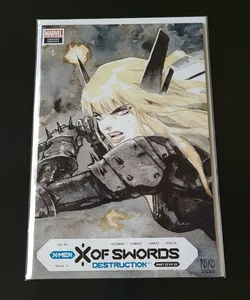 X Of Swords: Destruction #1