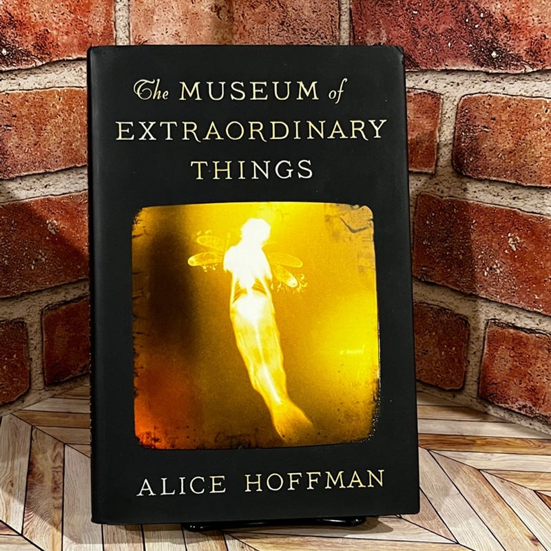 The Museum of Extraordinary Things