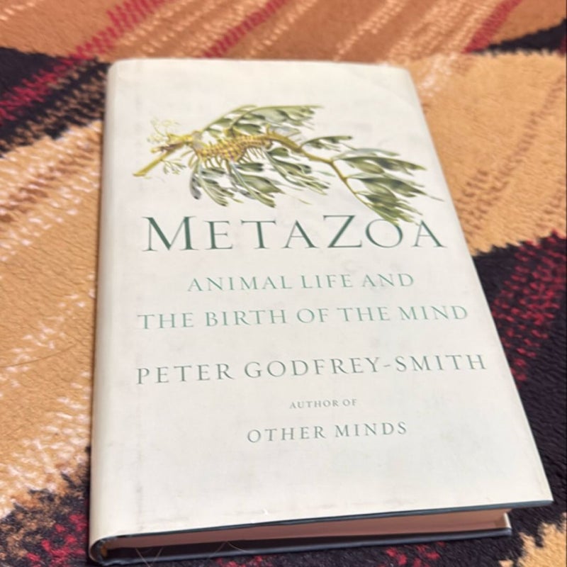 Metazoa