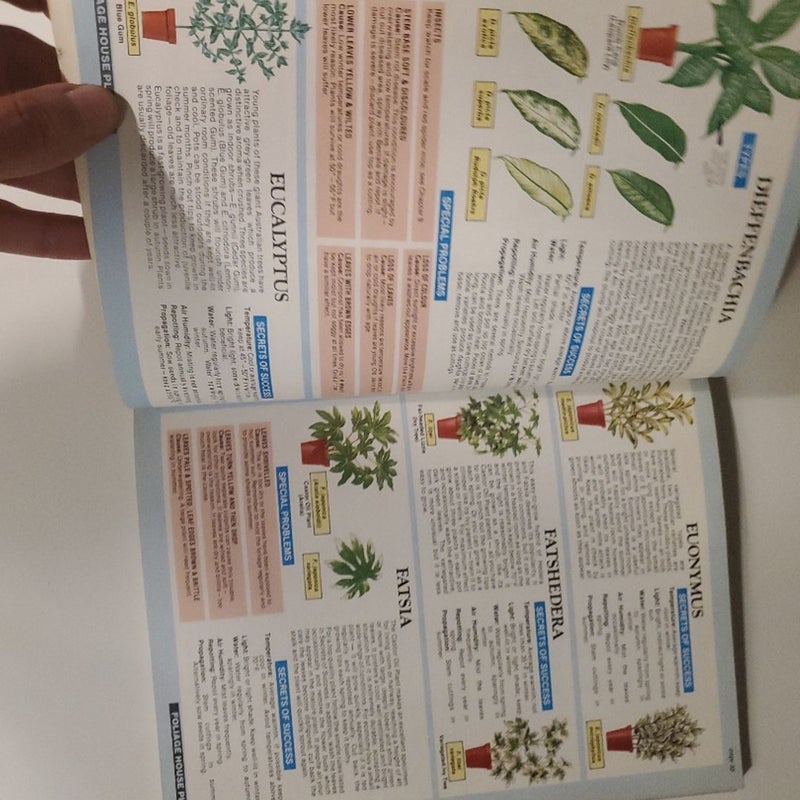 The House Plant Expert