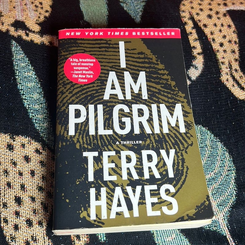 I Am Pilgrim