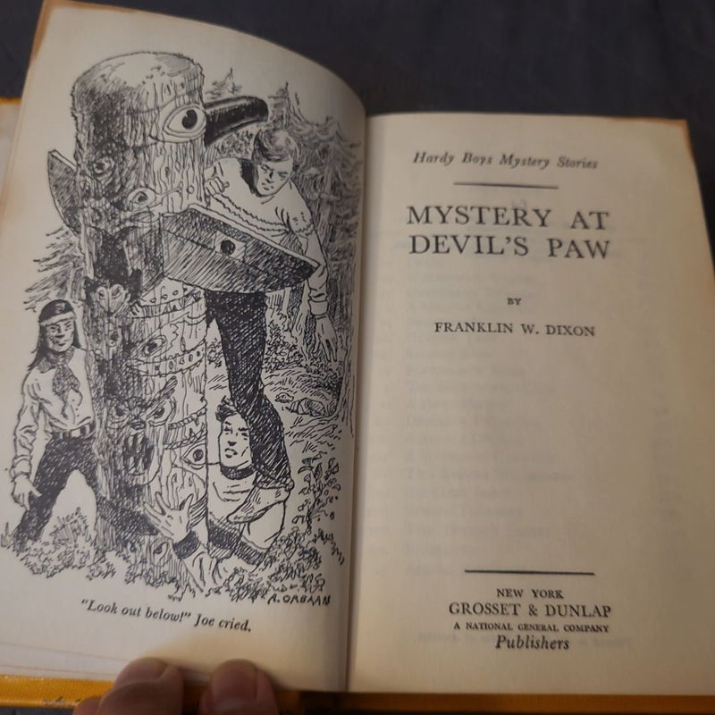 Hardy Boys 38: Mystery at Devil's Paw