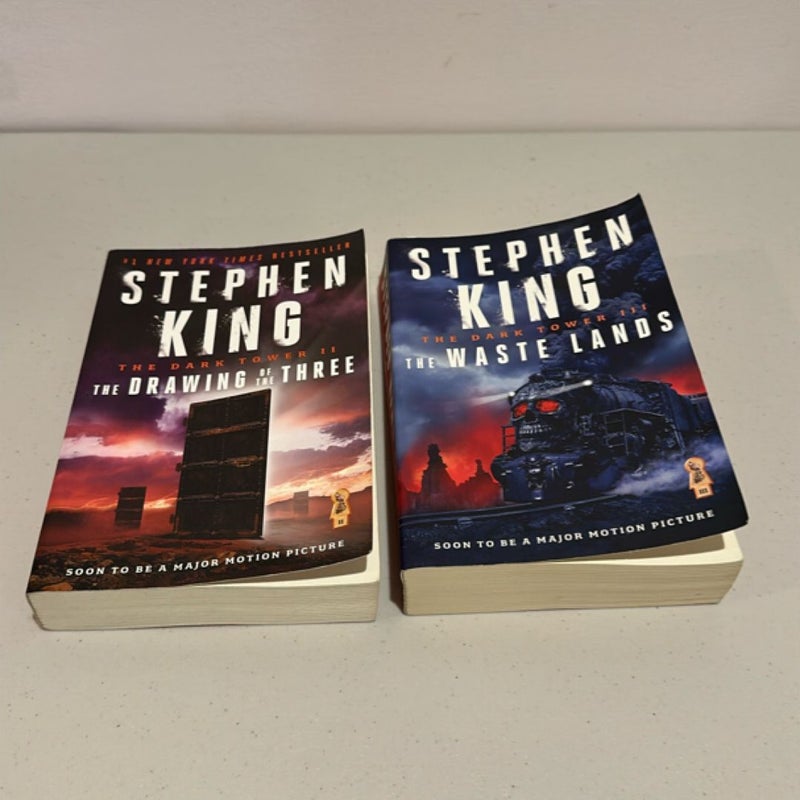 The Dark Tower II, III