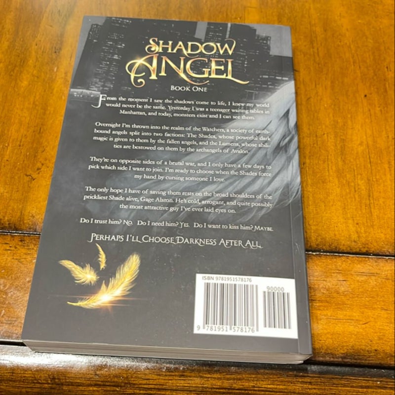 Shadow Angel: Book One