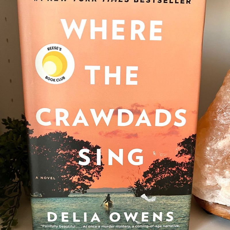 Where the Crawdads Sing