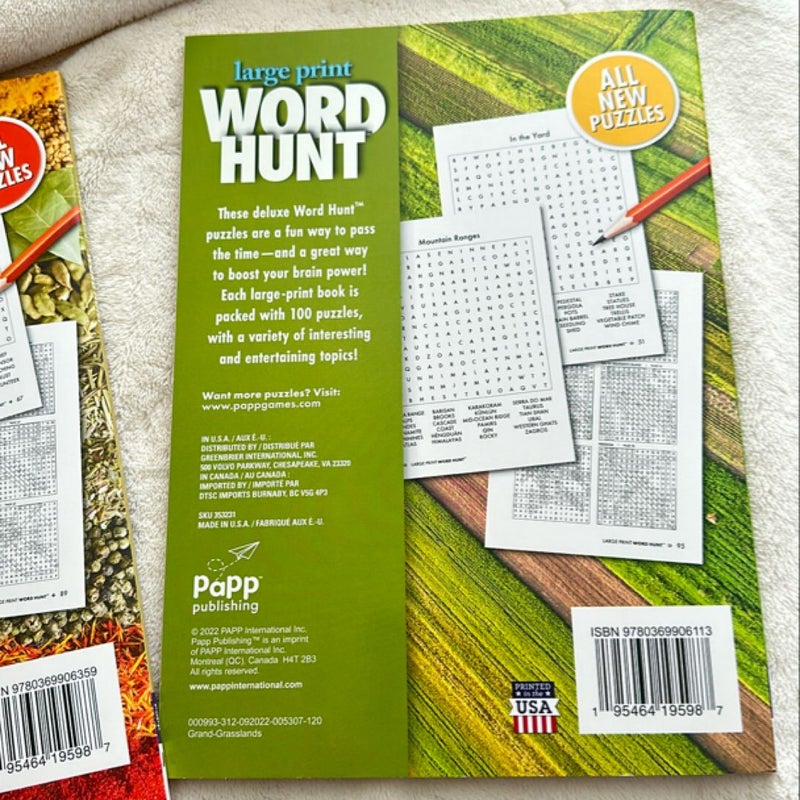 Large Print Word Hunt 