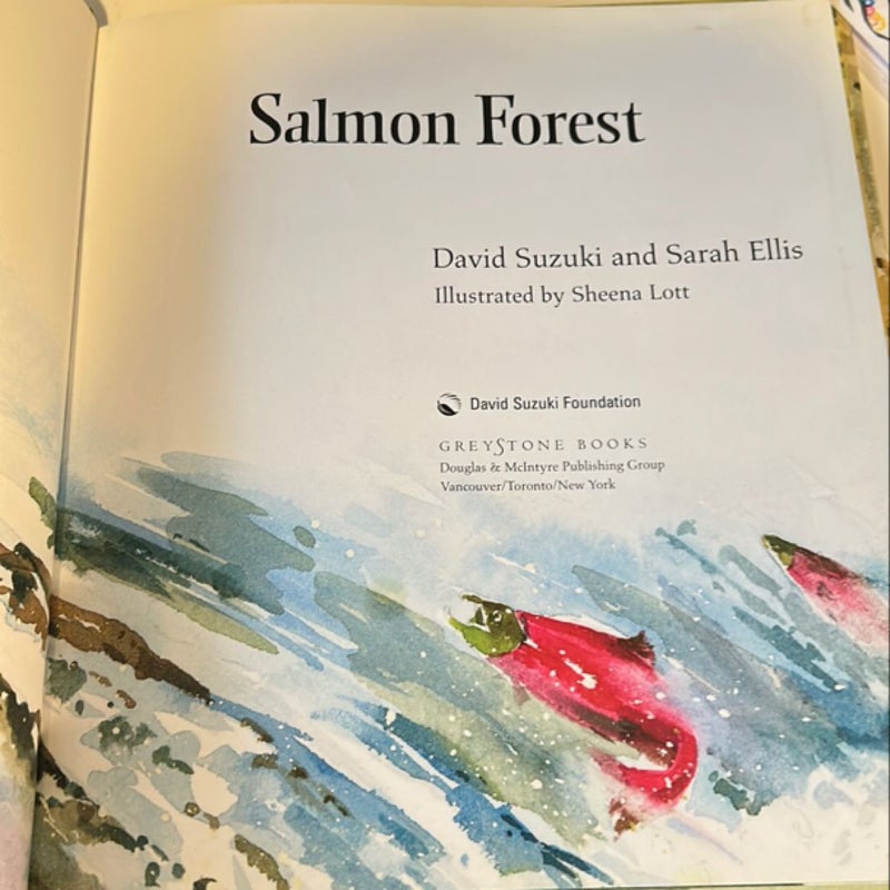 Salmon Forest 