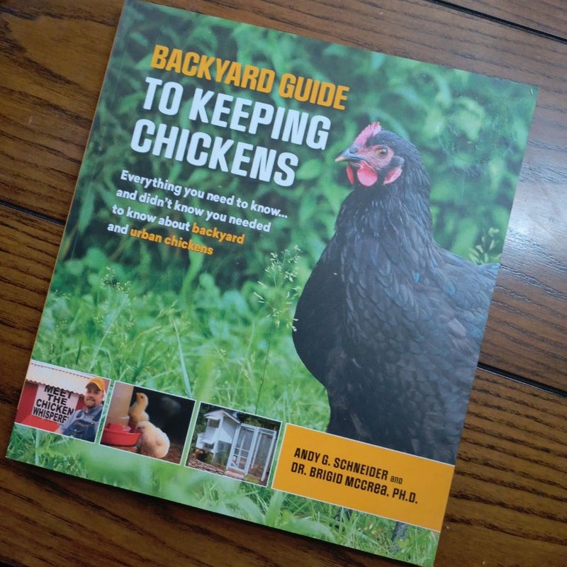 Backyard guide to keeping chickens 