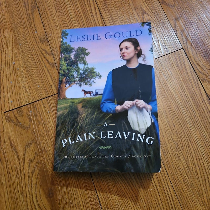 A Plain Leaving