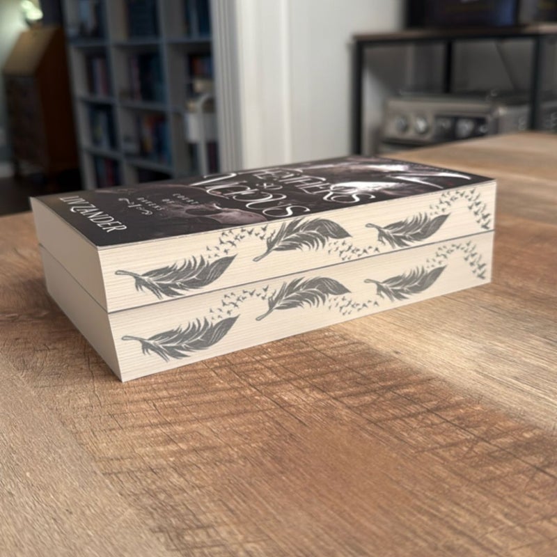 Feathers So Vicious: a Dark Fantasy Romance