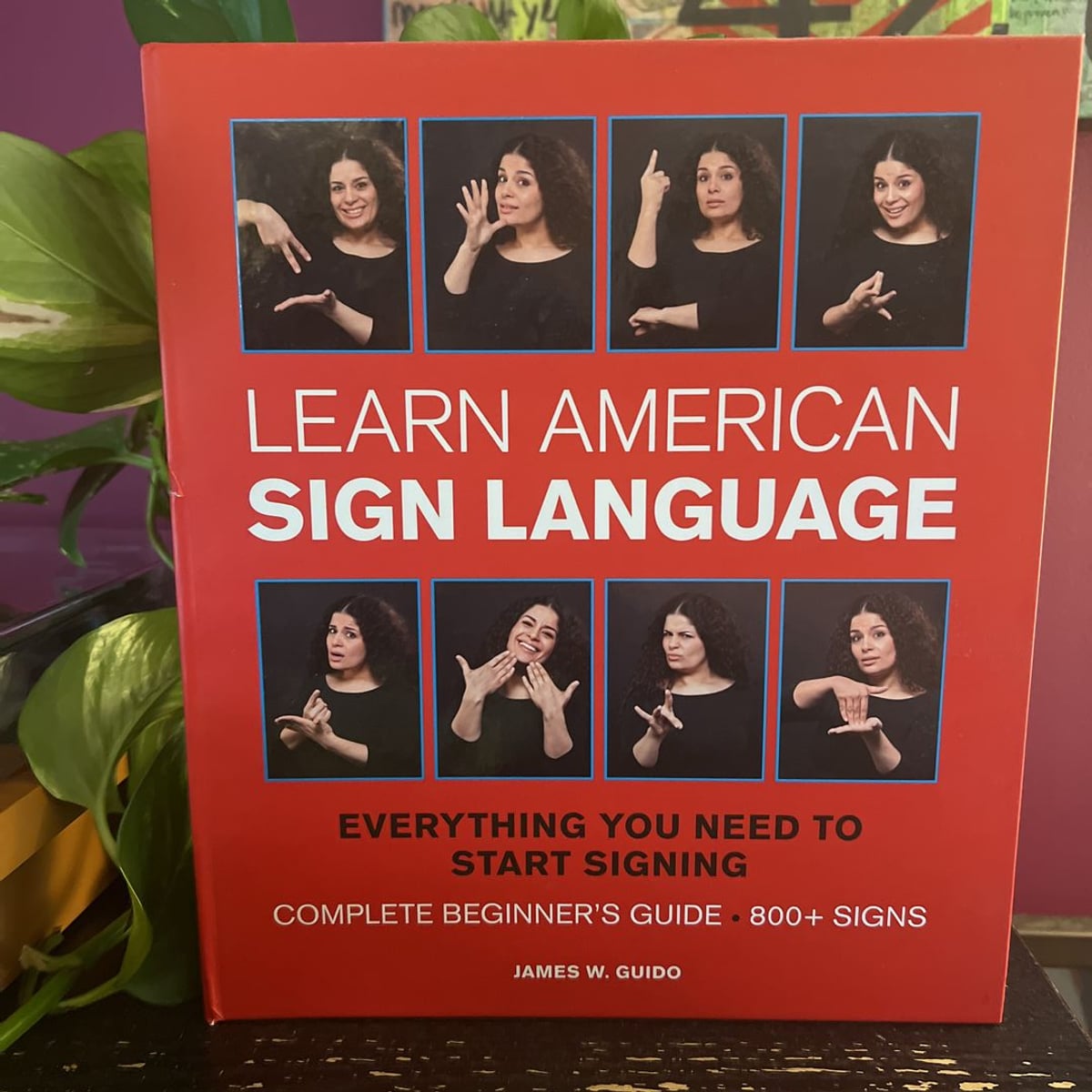Learn American Sign Language by James W. Guido