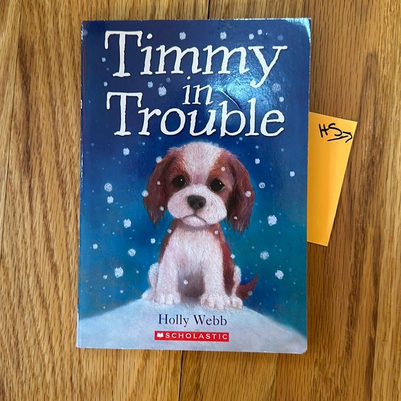 Timmy in Trouble 