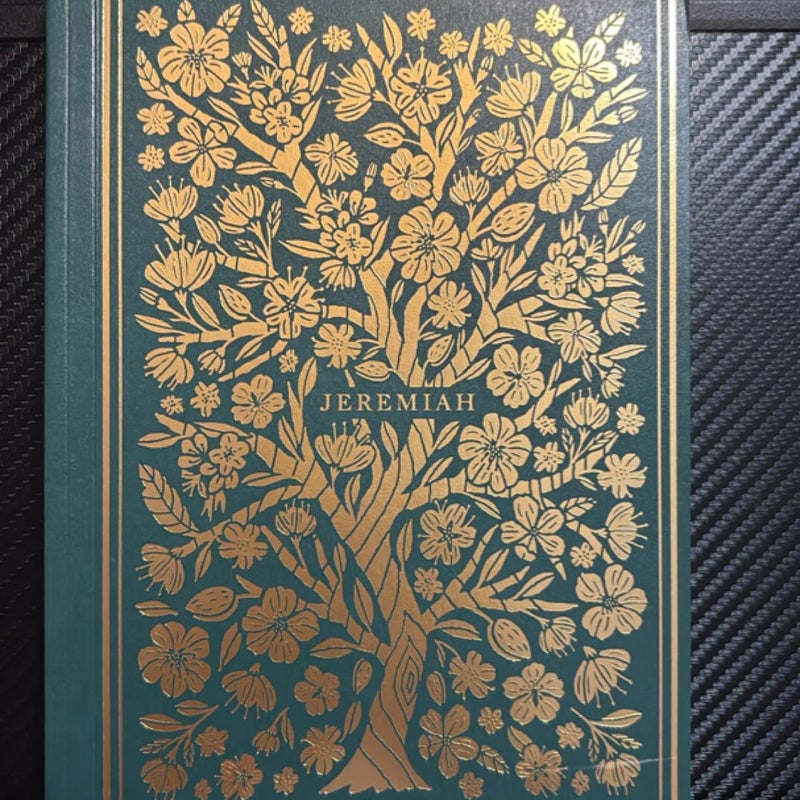 ESV Illuminated Scripture Journal 