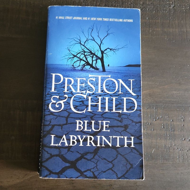 Blue Labyrinth