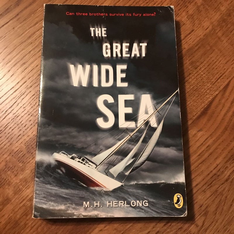 The Great Wide Sea