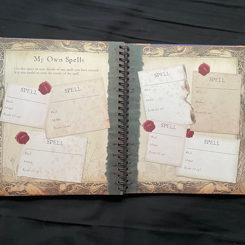 The Wizardology Handbook