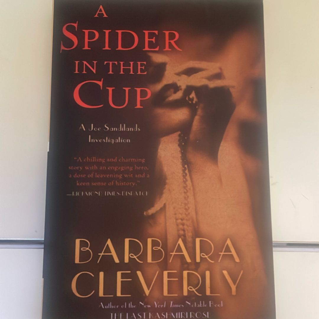 A Spider in the Cup