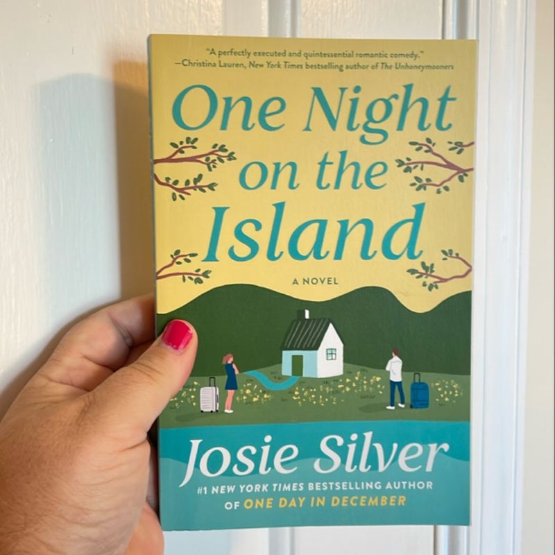 One Night on the Island