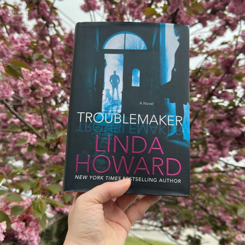 Troublemaker