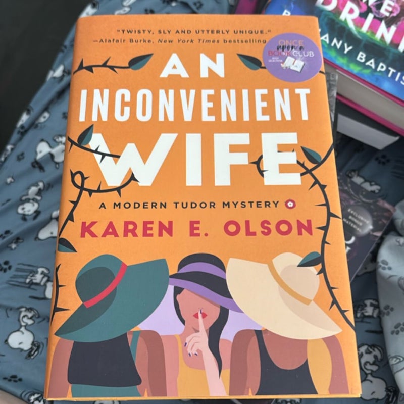An Inconvenient Wife