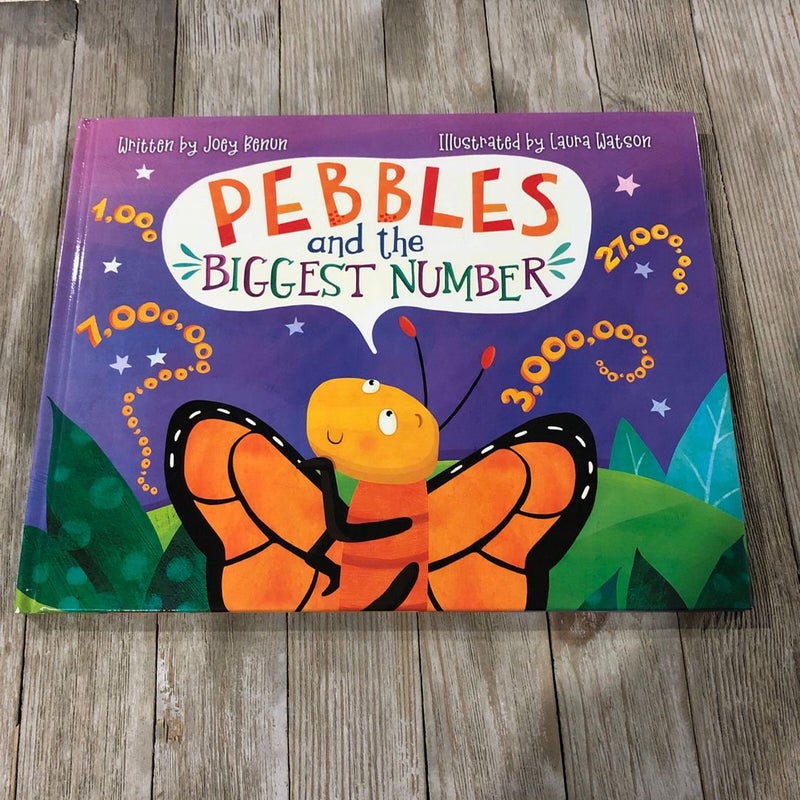 Pebbles and the Biggest Number