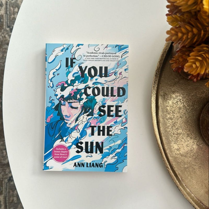 If You Could See the Sun *New paperback*