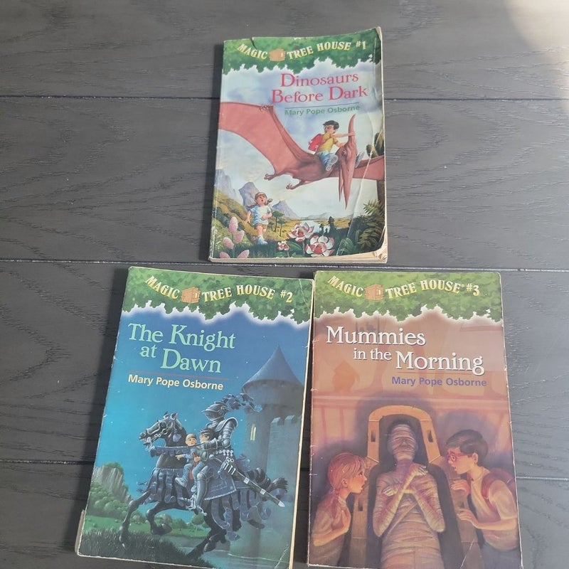 Magic tree house series books 1, 2, 3