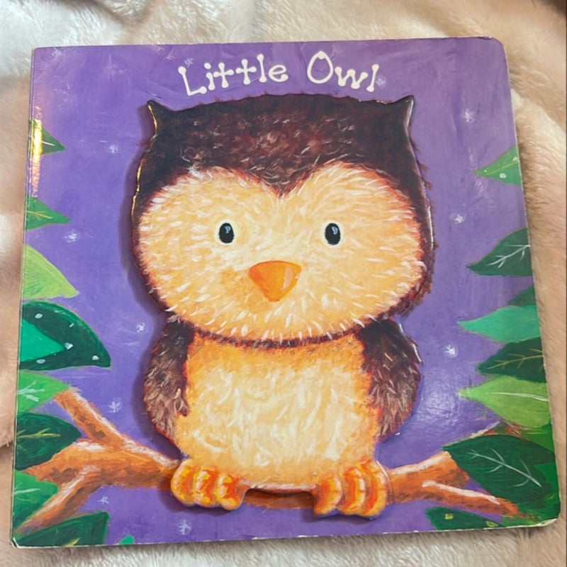 Little Owl 