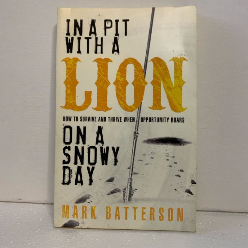 In a Pit with a Lion on a Snowy Day