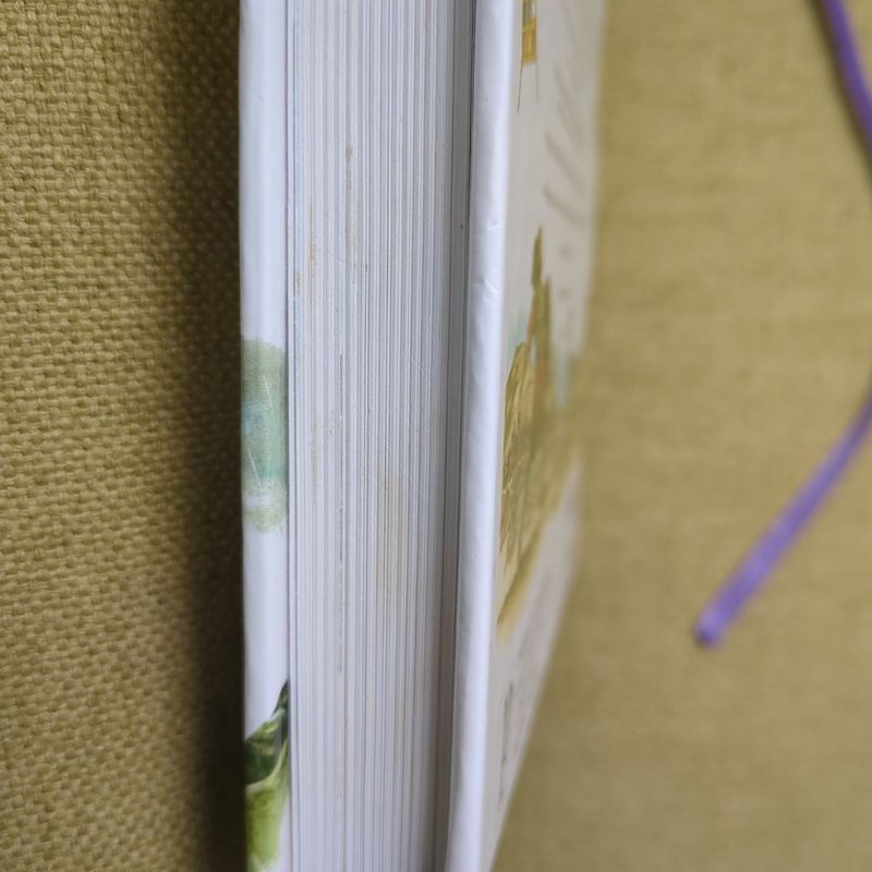 Illustrated Family Bible Stories