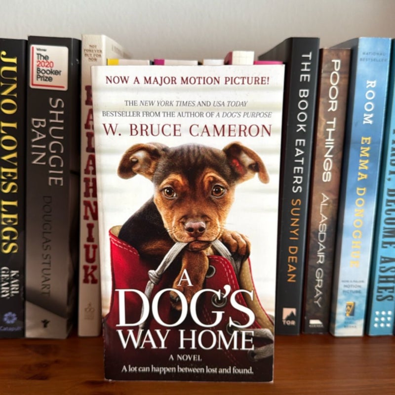 A Dog's Way Home Movie Tie-In