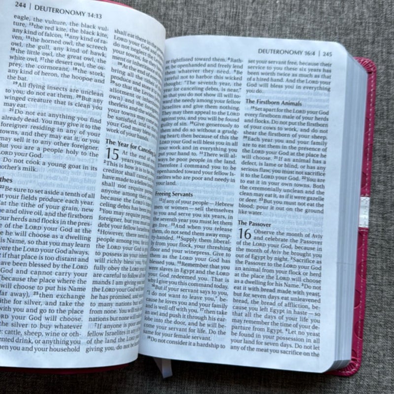 NIV Bible