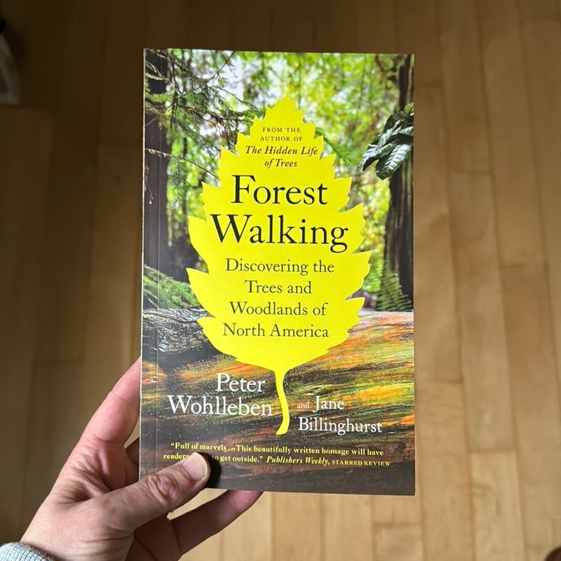 Forest Walking