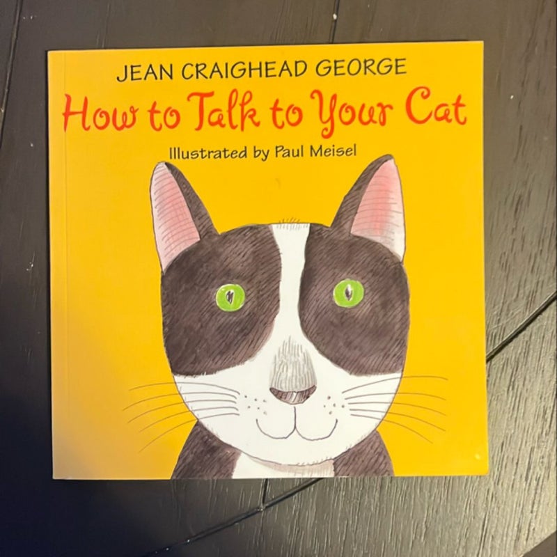 How to Talk to Your Cat